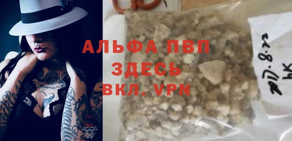 хмурый Арсеньев